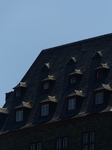 FZ017519 Shadow of Burg Stahleck roof windows.jpg